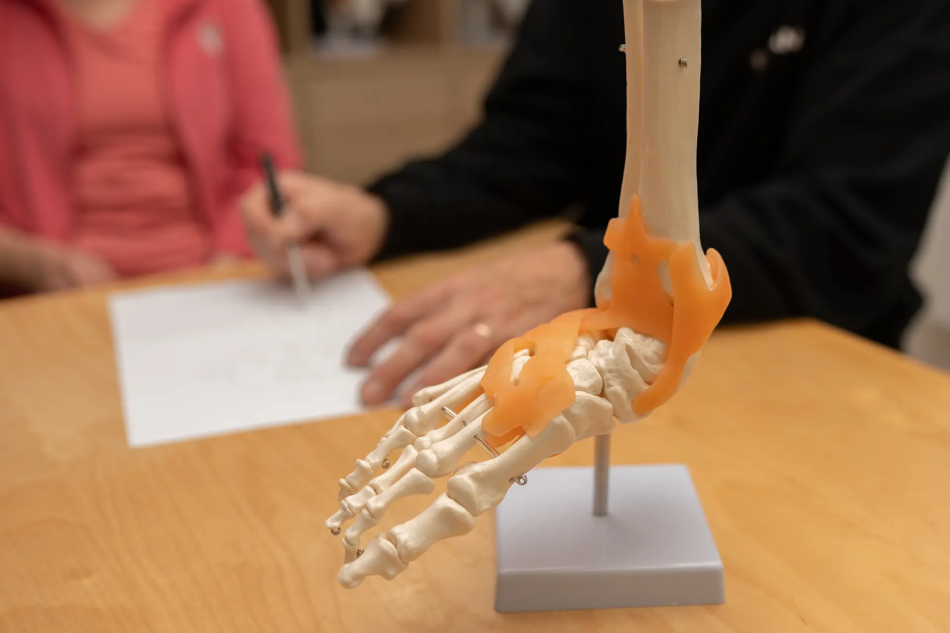 Anatomisches Fußmodell mit sichtbaren Knochen und orangefarbenen Markierungen steht auf einem Tisch, im Hintergrund füllt eine Person ein Formular aus.
