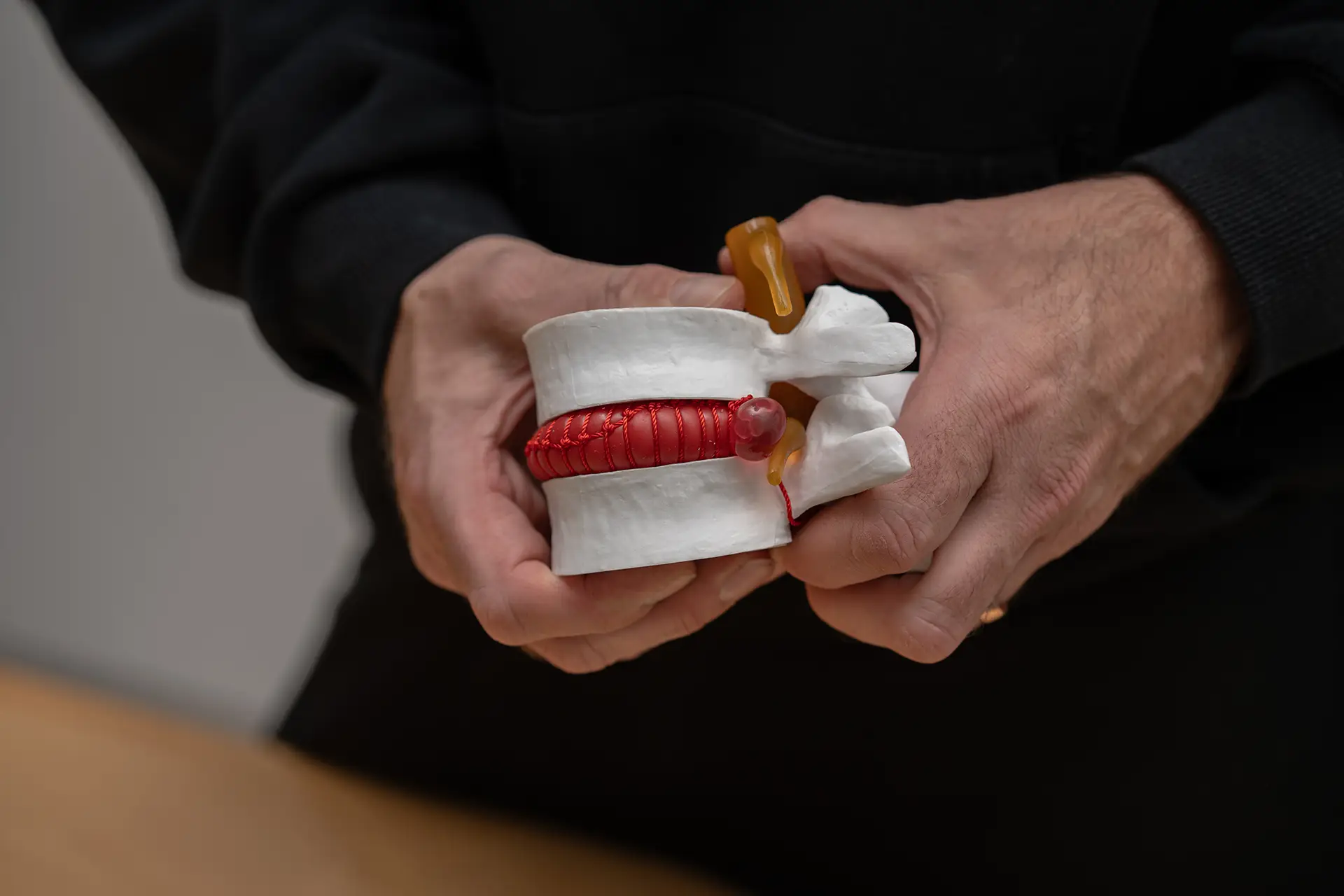 Trainer hält ein anatomisches Wirbelsäulenmodell im Fitnessstudio Body & Soul in Billerbeck und zeigt den Aufbau eines Bandscheibenbereichs mit Wirbelkörpern und Nervenstruktur zur Erklärung von Bewegung und Belastung.