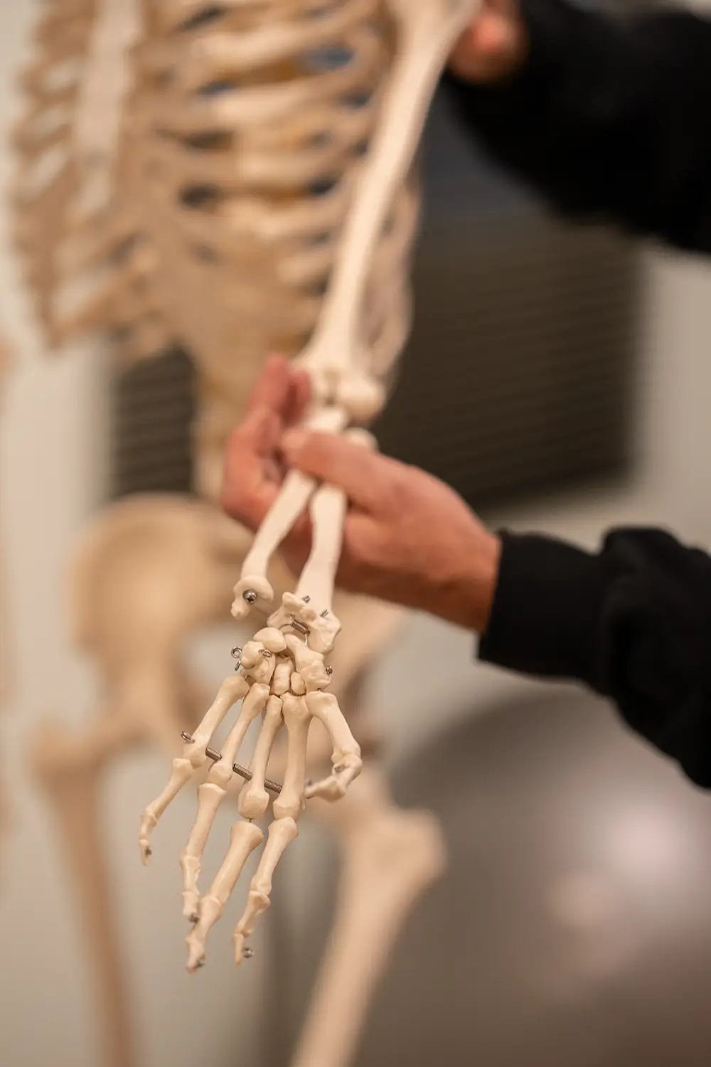 Nahaufnahme eines anatomischen Handmodells aus Skelettteilen, das im Fitnessstudio body & soul Billerbeck zur Erklärung von Bewegungsabläufen und Gelenkfunktionen verwendet wird